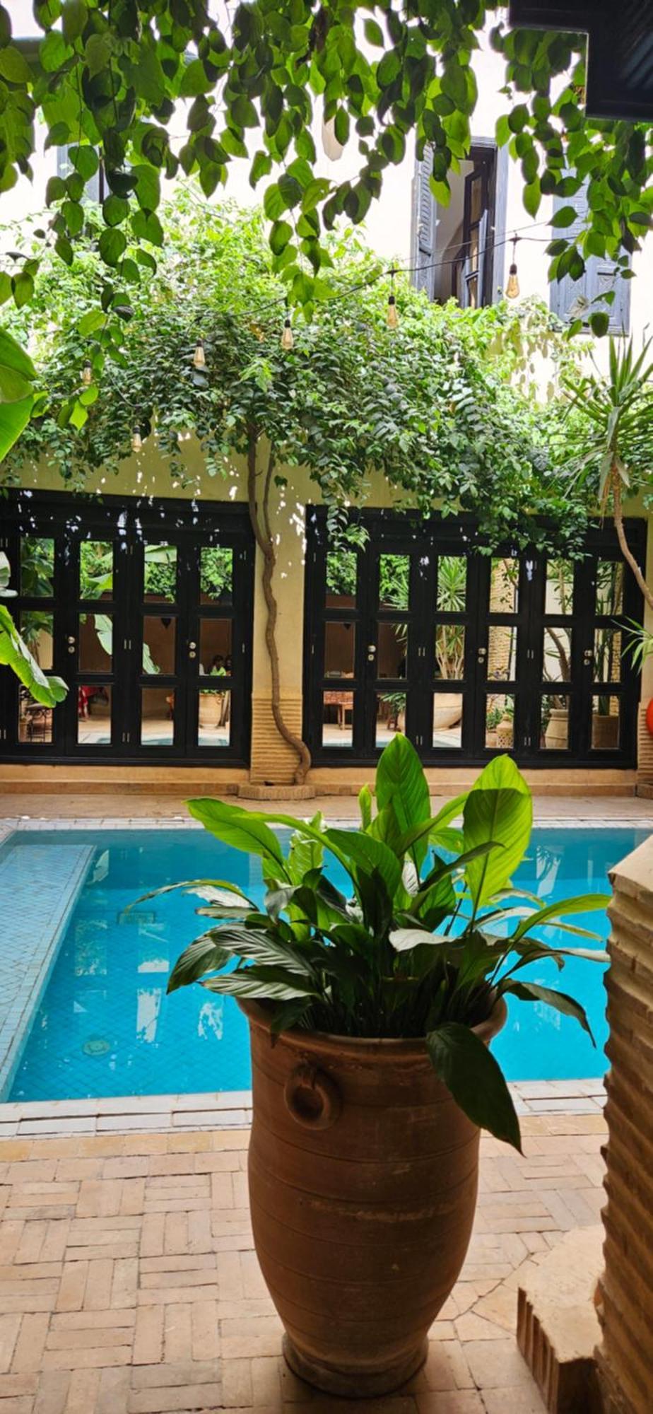 Riad Dar Haven Tamraght Eksteriør billede